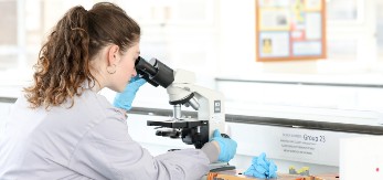 Lab gloves and microscope 